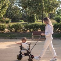 Doona Liki Foldable Trike S3 Grey Hound - Image 2