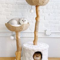 Mau Lifestyle Cento Cat Tree, White , - Image 8