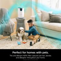 Shark Air Purifier with True HEPA HP102 - Image 3