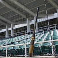 DeMarini 2024 Voodoo One -3 Baseball BBCOR Bat - Image 7