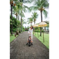 Doona Liki Foldable Trike S3 Grey Hound - Image 8