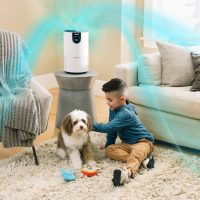 Shark Air Purifier with True HEPA HP102 - Image 6