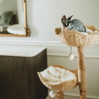 Mau Lifestyle Cento Cat Tree, White , - Image 3