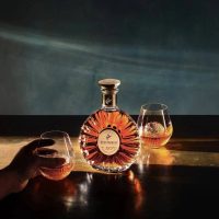 Remy Martin Cognac, XO - 750 ml - Image 8