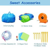 Inflatable Water Slide, Hippo Themed Bounce House - Image 10