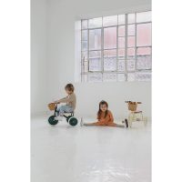 Banwood Trike (Green) - Image 8